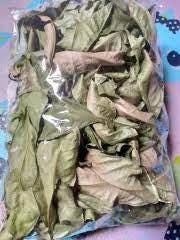 Daun Gendola - Basella Rubra Linn Leaf (Dried and Powder)