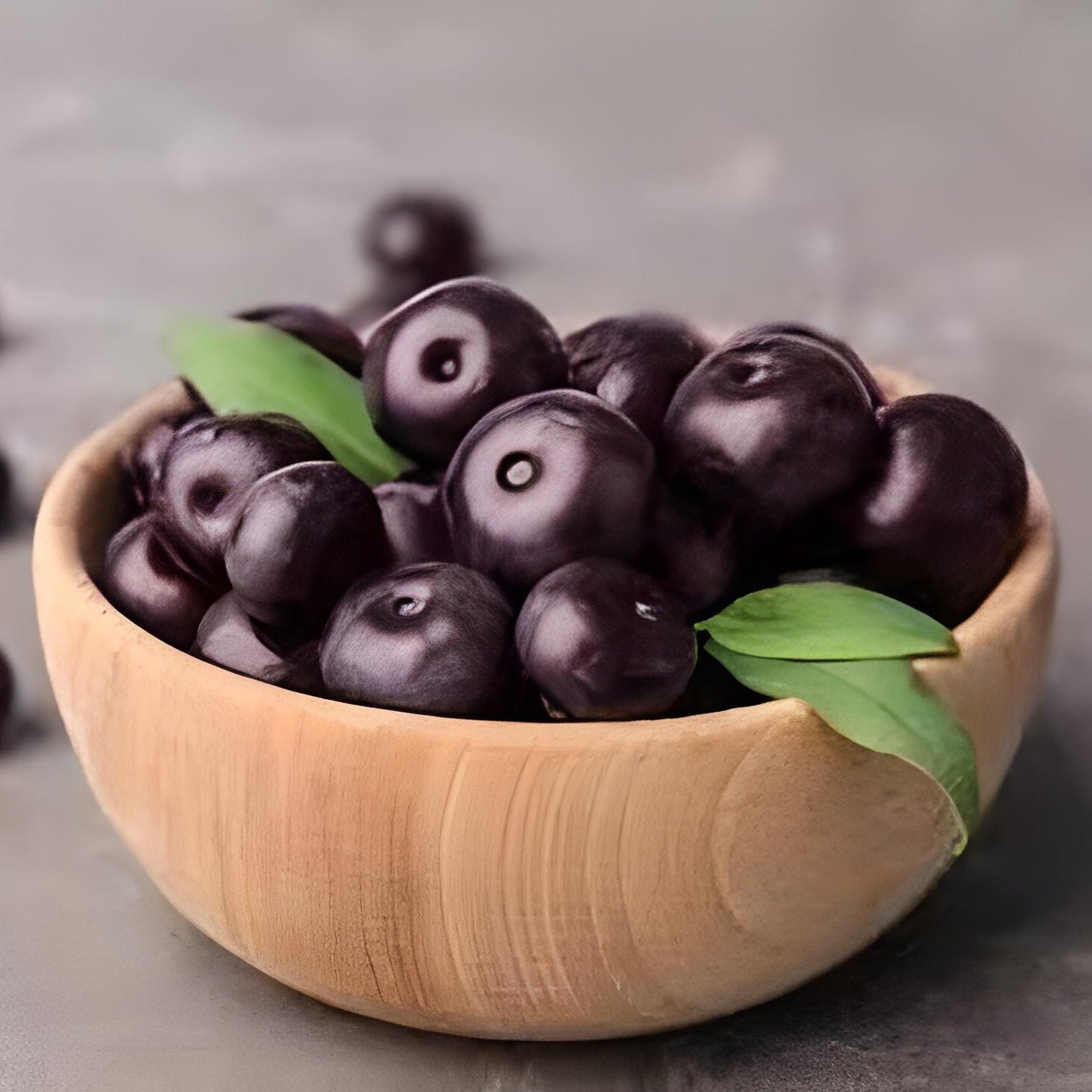 Acai Berry Bubuk (Euterpe oleracea powder)