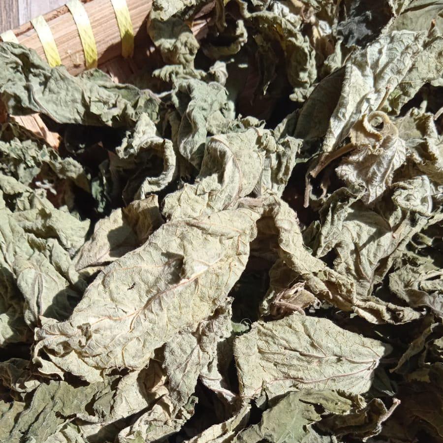 Daun Kersen Talok Kerukup Siam - Muntingia calabura Leaf (Dried and Powder)