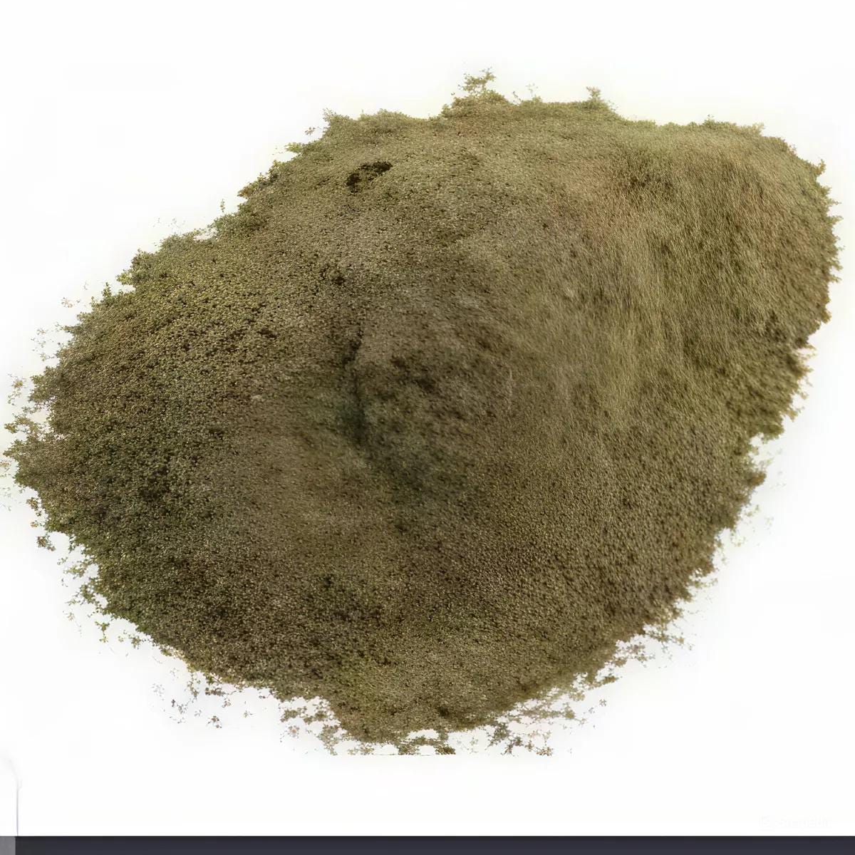 Daun Legundi - Vitex trifolia Leaf (Dried and Powder)