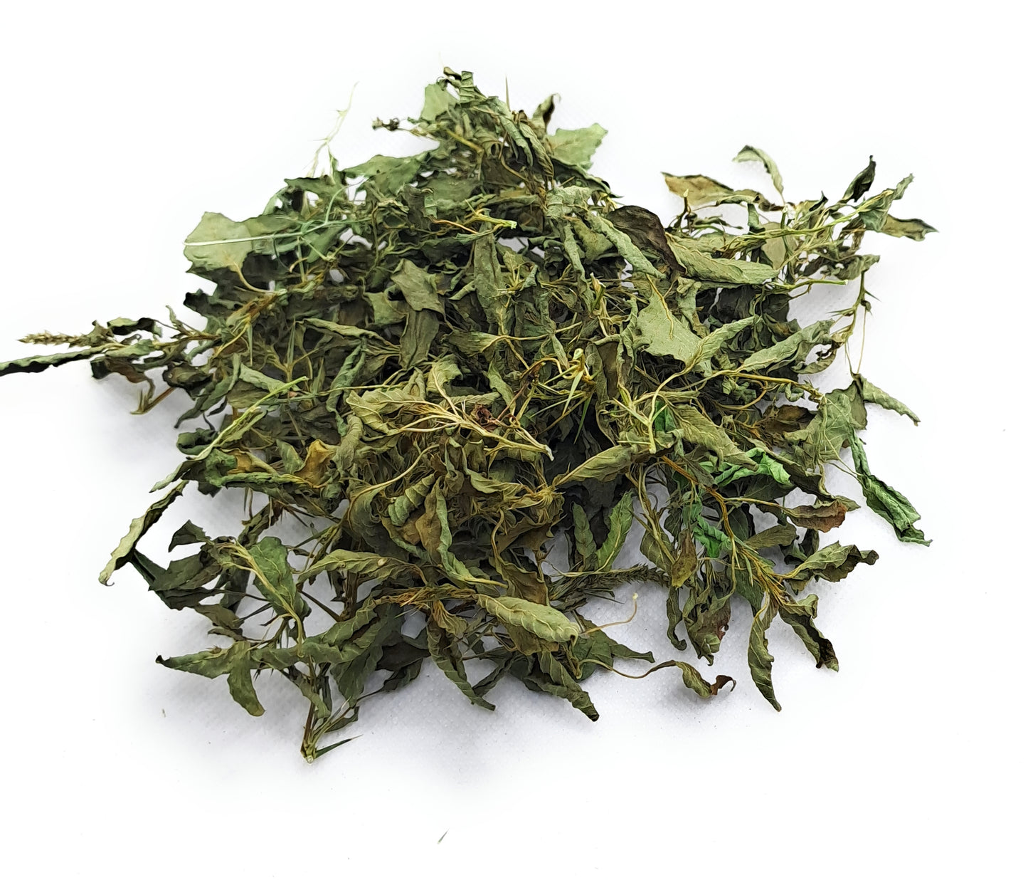 Bayam Duri - Amaranthus spinosus (Powder and Dried)
