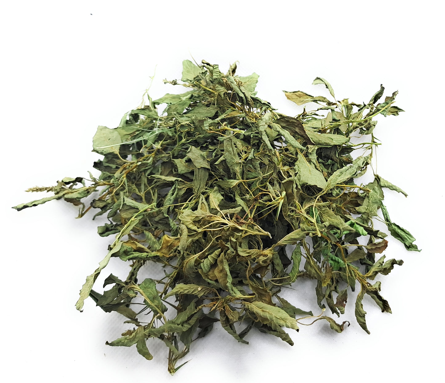 Bayam Duri - Amaranthus spinosus (Powder and Dried)