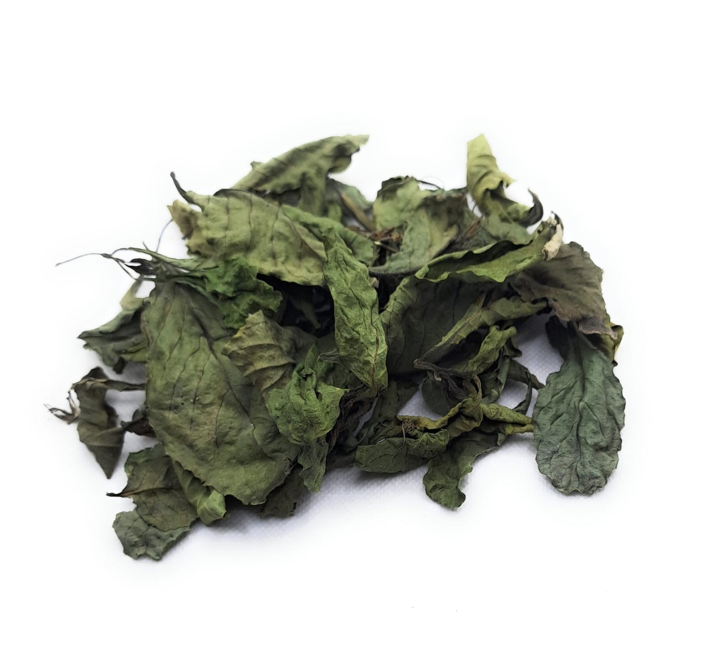 Daun Bandotan - Ageratum Conyzoides Leaf (Powder and Dried)