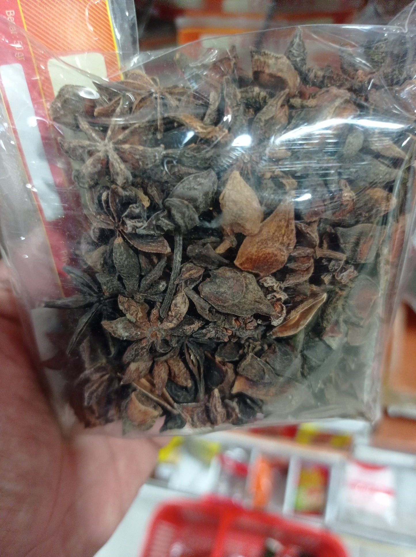 Pekak Bunga Lawang (Star Anise) Illicium verum