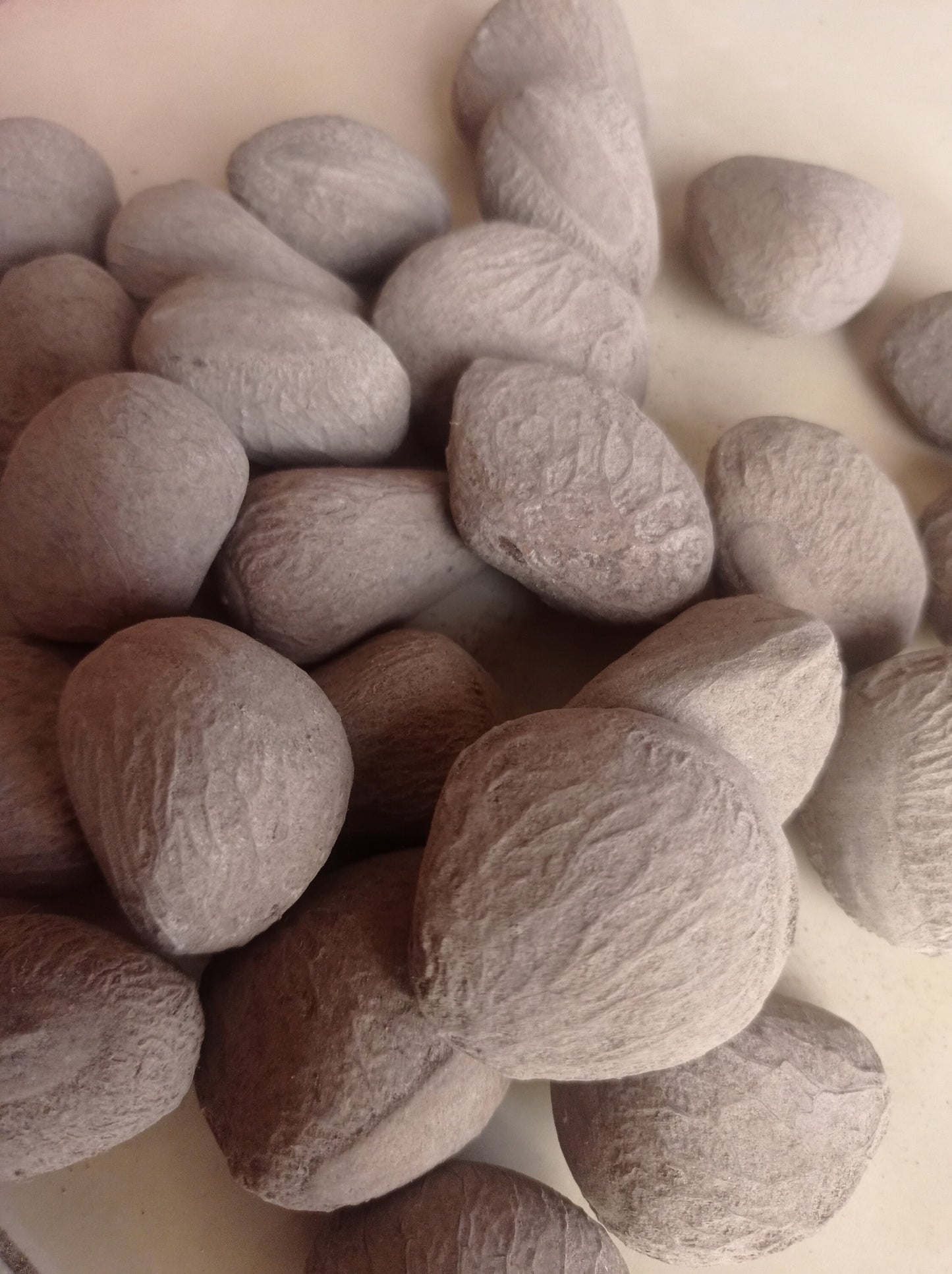 Keluwek Kluwak Kluwek Kepayang Pangium Edule Black Nut