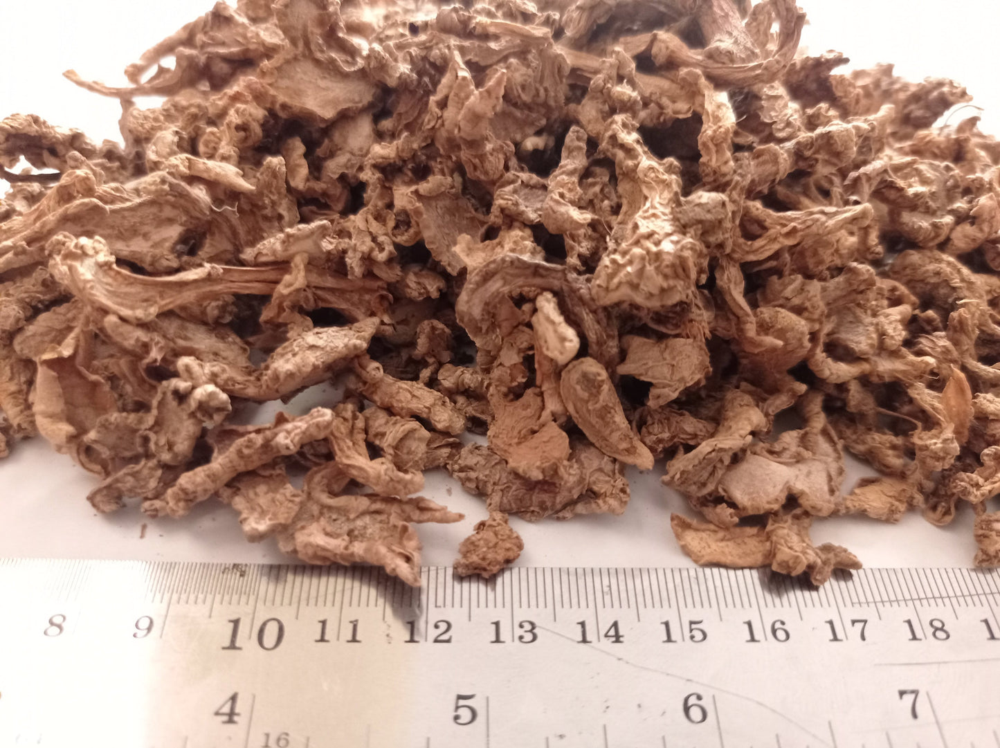 Jahe Emprit (Ginger) Zingiber officinale var. amarum [Dried and Powder]