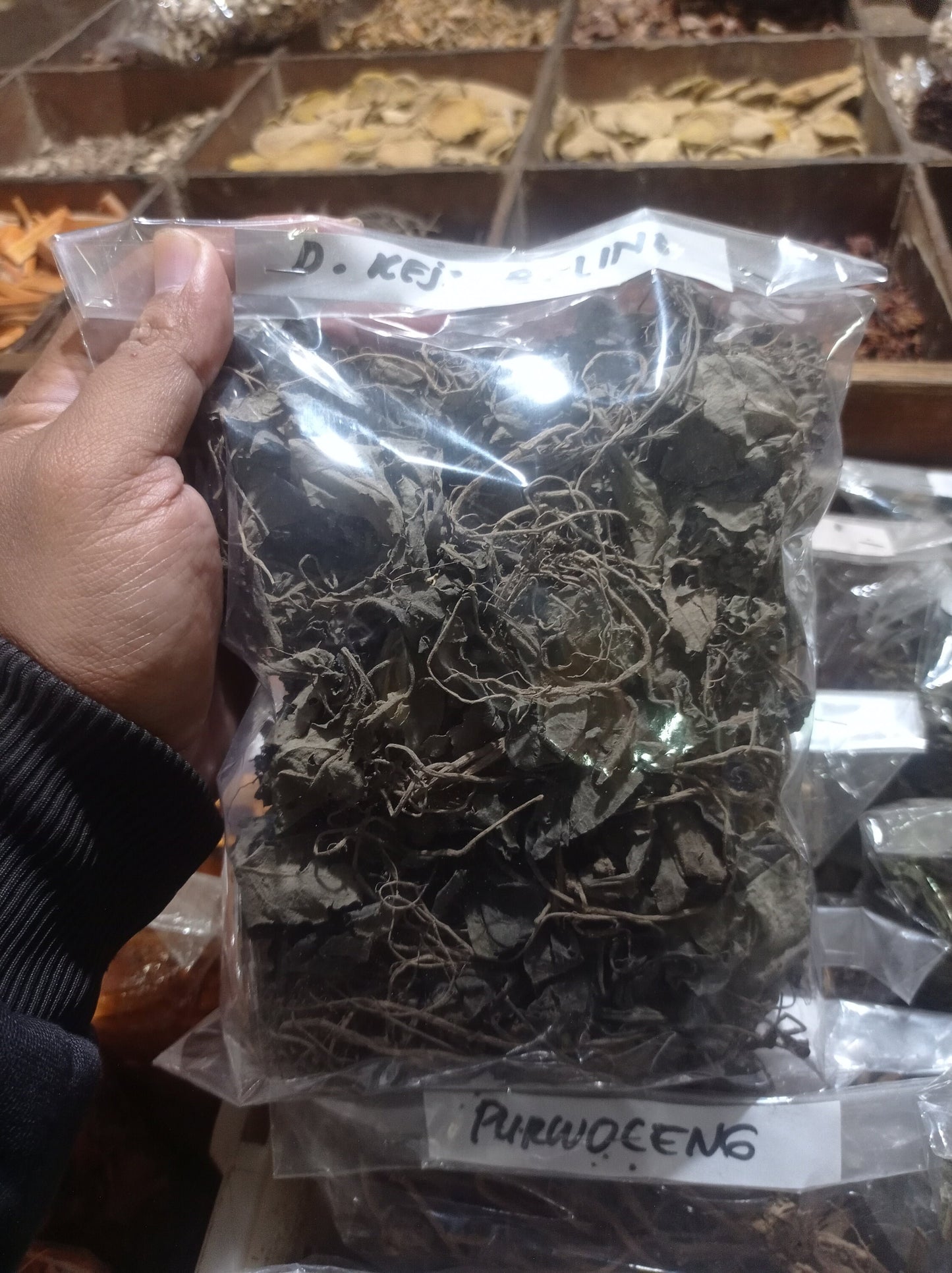 Daun Keji Beling (strobilanthes crispa Leaf) Dried and Powder