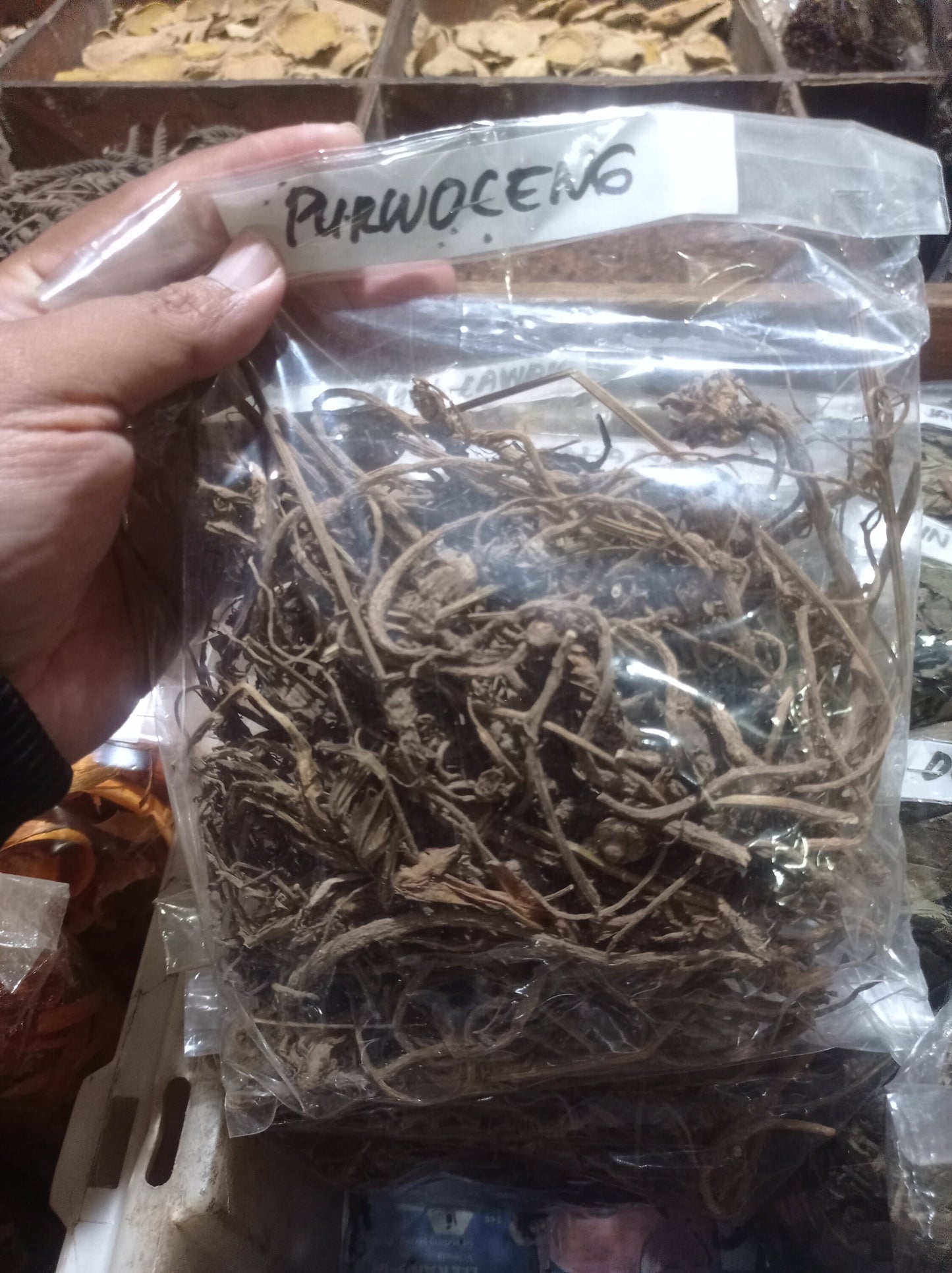 Akar Purwaceng  purwoceng, Antanan Gunung Pimpinella Pruatjan Root (Dried and Powder)