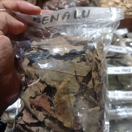 Daun Benalu - Loranthus Leaves  (Dried and Powder)