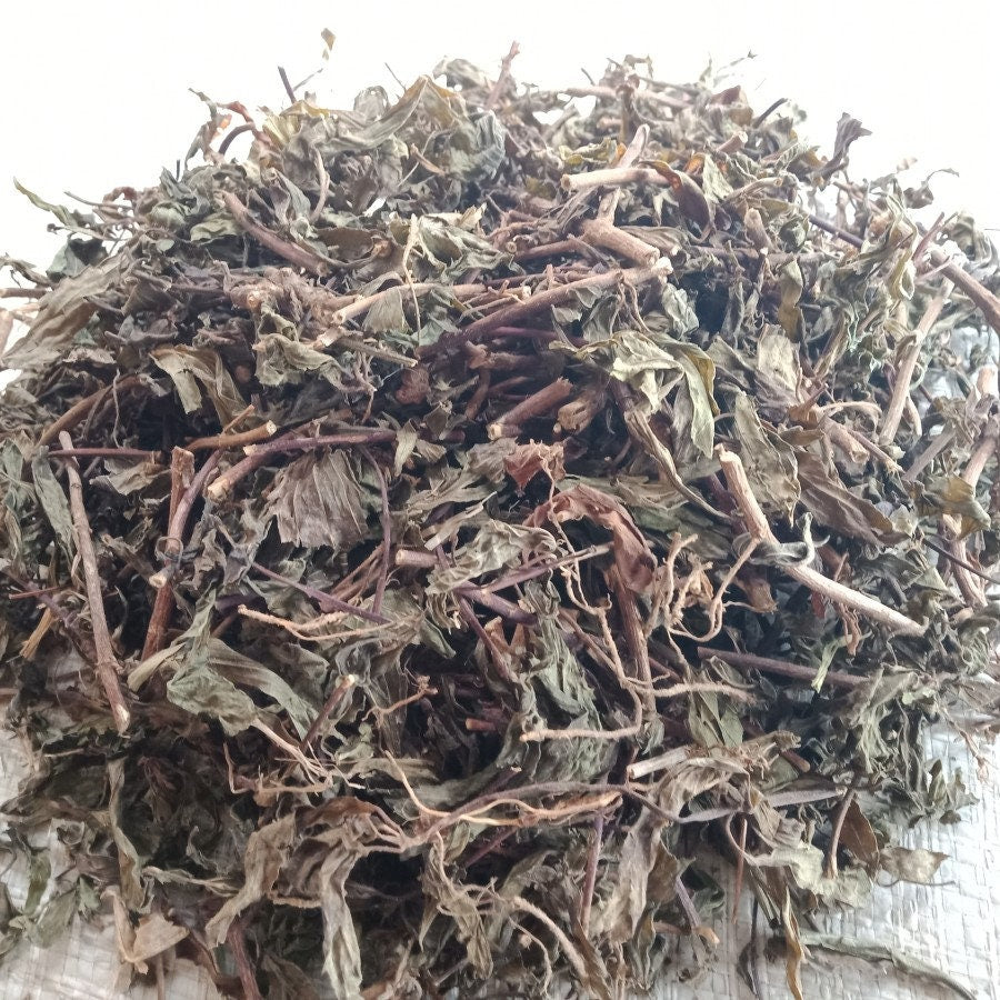 Daun Kumis Kucing - Orthosiphon aristatus Leaf (Dried and Powder)