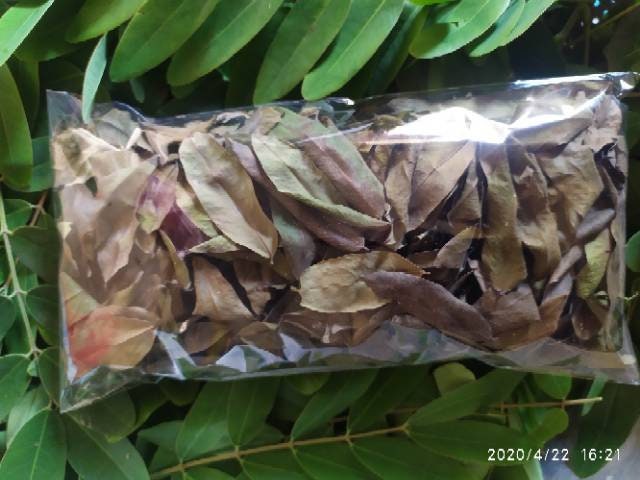 Daun Johar - Cassia siamea Lamk Leaf (Dried and Powder)
