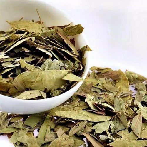 Daun Jati Cina - Senna Alexandrina Leaf (Dried and Powder)