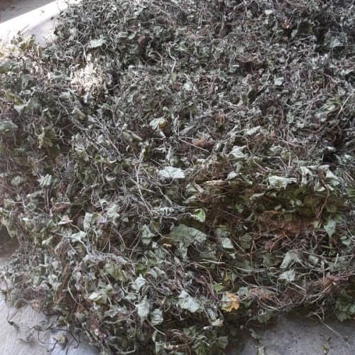 Daun Pegagan - Centella Asiatica Leaf (Dried and Powder)
