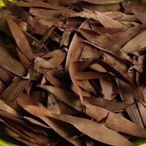Daun Kayu Putih (Eucalyptus leaves) Cajuput leaf (Dried and Powder)