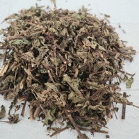 Daun Beluntas (Pluchea indica leaves) Dried and Powder