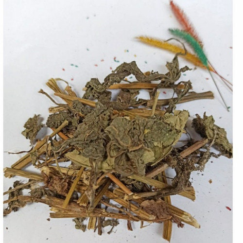 Daun Sembung (Blumea balsamifera Leaves) Dried and Powder