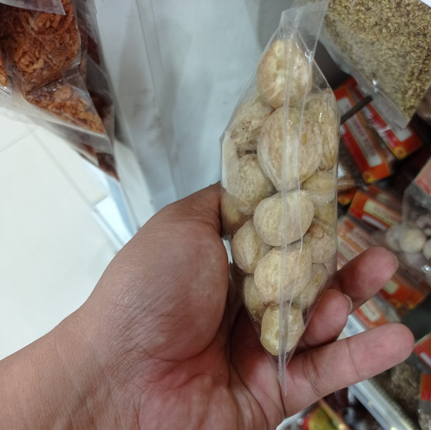 Kemiri (candlenut, kukui nut) Aleurites moluccanus