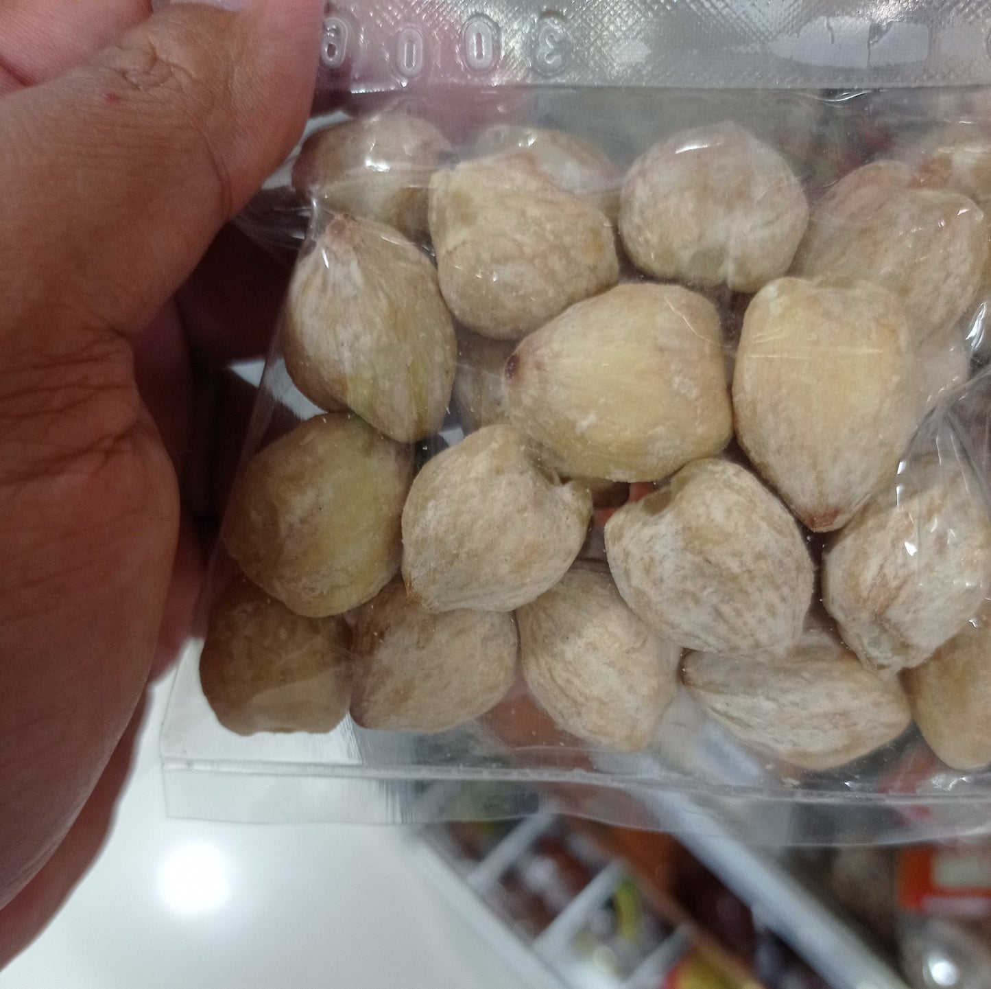 Kemiri (candlenut, kukui nut) Aleurites moluccanus
