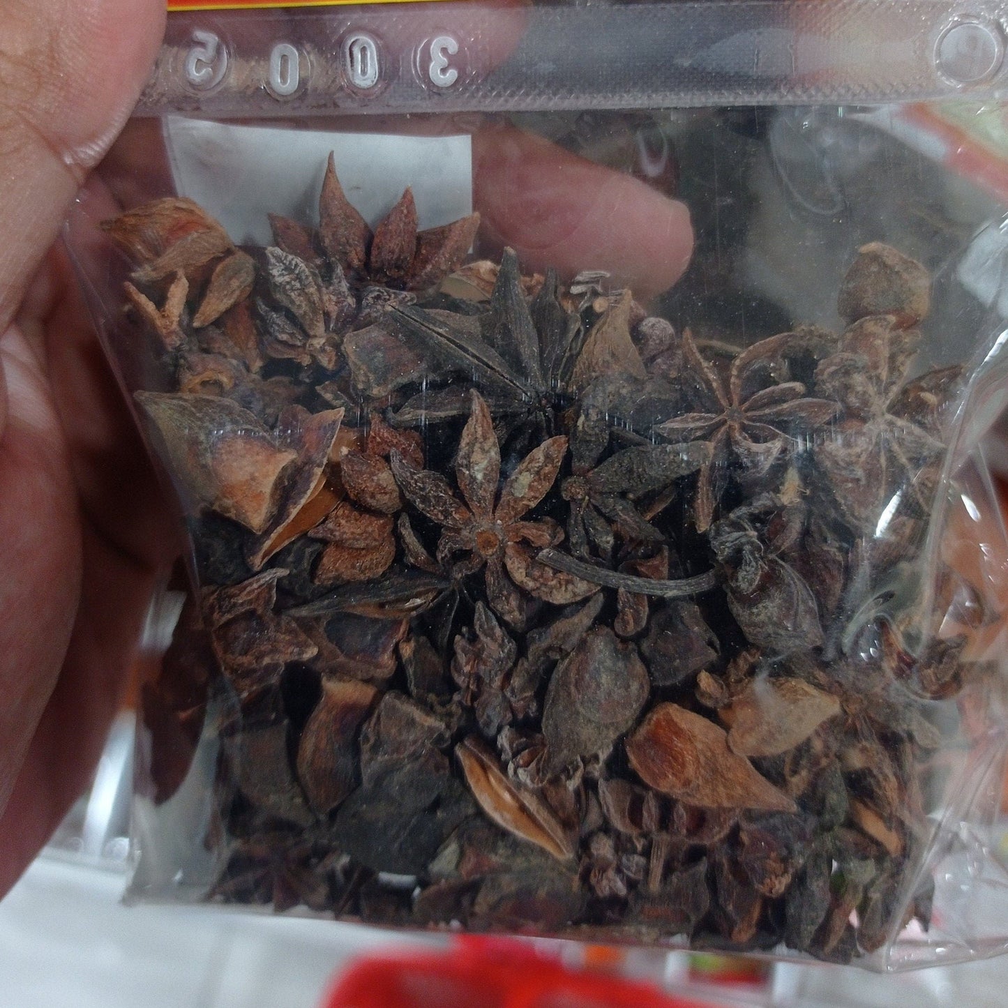 Pekak Bunga Lawang (Star Anise) Illicium verum