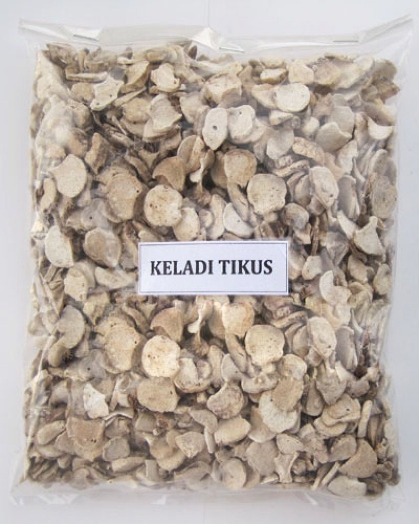 Rimpang Keladi Tikus / Rodent Tuber Typhonium flagelliforme Root (Dried and Powder)