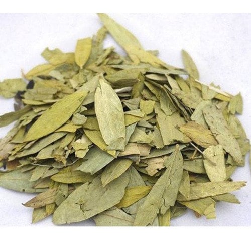 Daun Jati Cina - Senna Alexandrina Leaf (Dried and Powder)