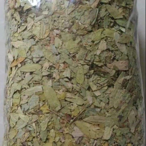 Daun Jati Cina - Senna Alexandrina Leaf (Dried and Powder)