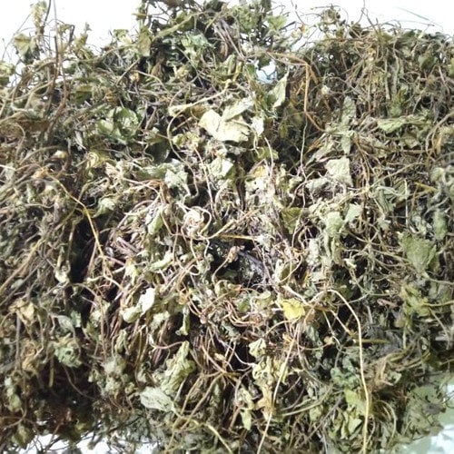 Daun Pegagan - Centella Asiatica Leaf (Dried and Powder)