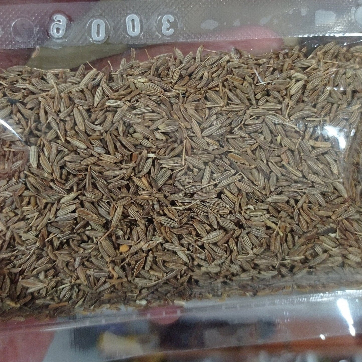 Jinten (cumin)