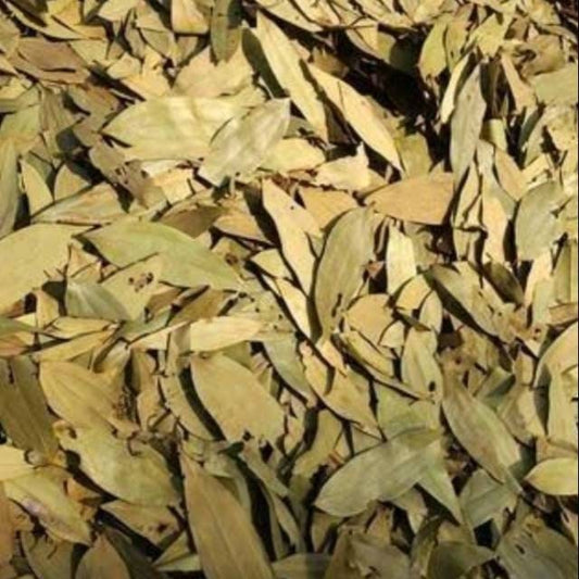 Daun Kayu Manis Kering (Dry Cinnamon Leaf Dried)