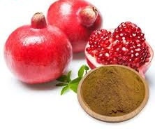 Kulit Delima - Punica granatum Peel (Dried And Powder)