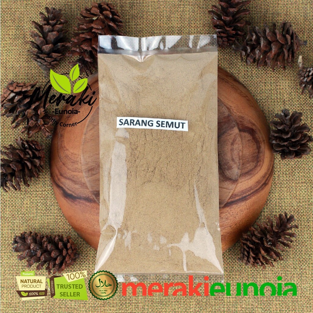 Sarang Semut Papua | Serbuk Urek-urek Polo Nongon - Jack Ant Plant | Myrmecodia tuberosa (powder and dried)