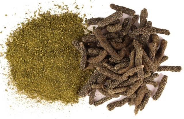 Cabai Jawa -Long Pepper - Piper retrofractum Vahl