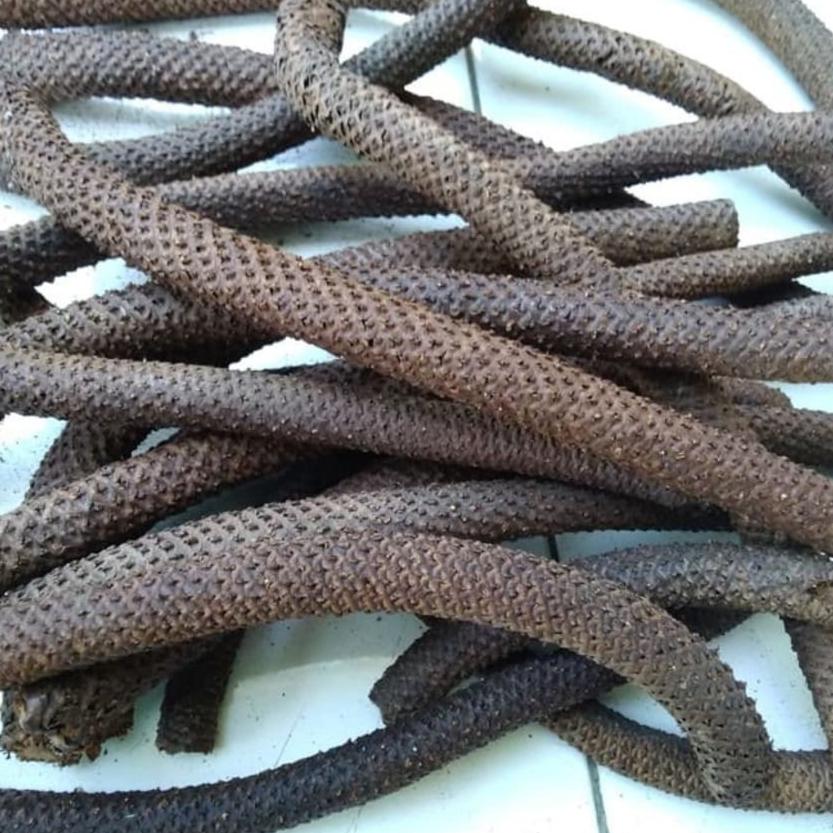 Kayu Lanang/ Wolo Kering (Oroxylum Indicum Dried)