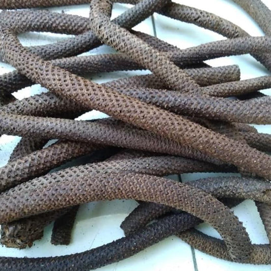 Kayu Lanang/ Wolo Kering (Oroxylum Indicum Dried)