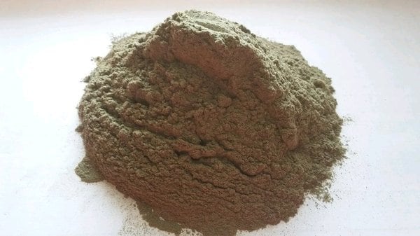 Daun Sambung Nyawa - Gynura procumbens  Leaf ( Dried and Powder)