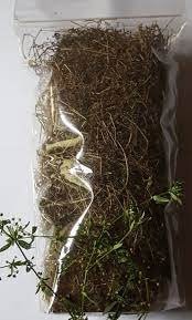 Rumput Mutiara Kering - Oldenlandia Leaf Dried