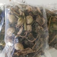 Daun Ciplukan - Physalis Angulata Leaf (Dried and Powder)