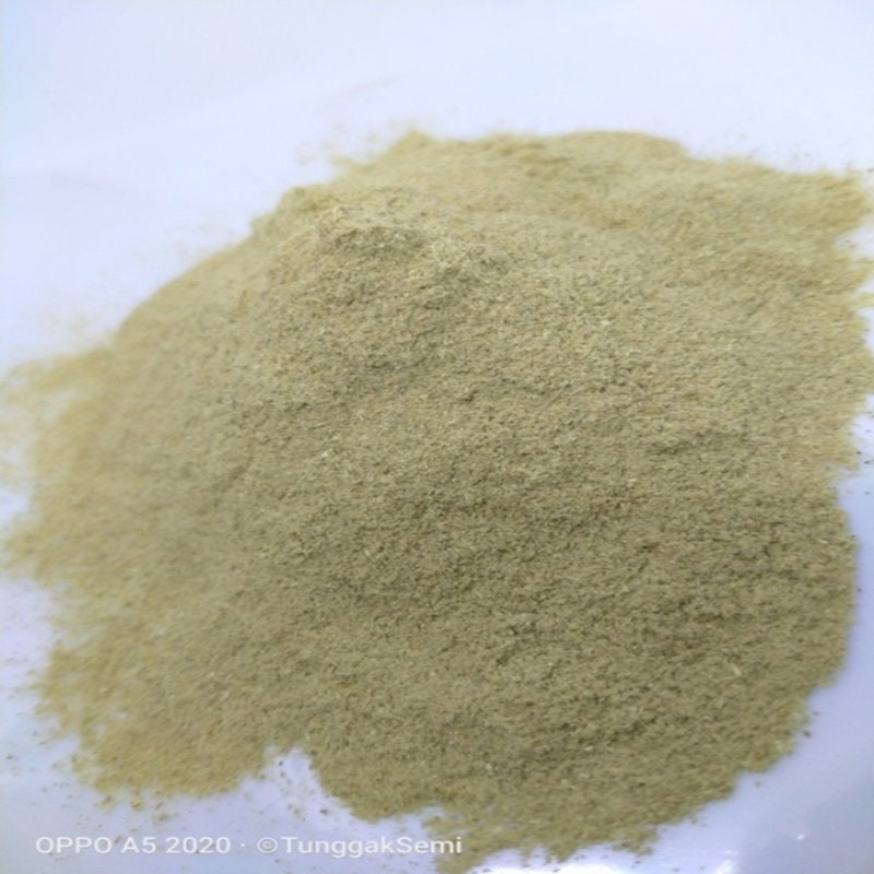 Gingseng Jawa Bubuk Kolosom Jawa  - Talinum paniculatum (Dried and Powder)