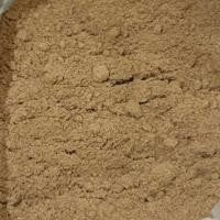 Jahe Merah -  Zingiber Officinale Var Rubrum Rhizoma