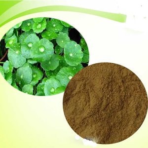 Daun Pegagan - Centella Asiatica Leaf (Dried and Powder)