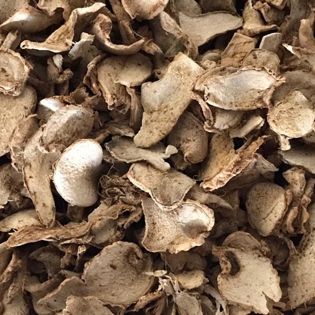 Lempuyang (Zingiber zerumbet) Dried and Powder