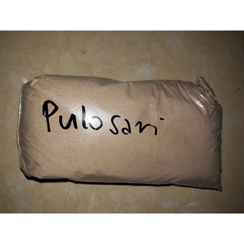 Batang Pulosari (Alyxia stellata) Branch Dried and Powder