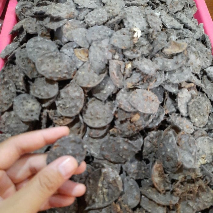 Dried Seprantu Kering - Dired Sindora sumatrana Miq.