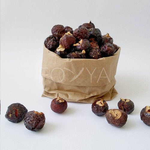 Lerak soapnut/soapberry/klerek (Sapindus rarak)