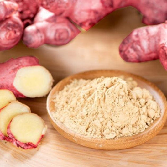 Jahe Merah -  Zingiber Officinale Var Rubrum Rhizoma