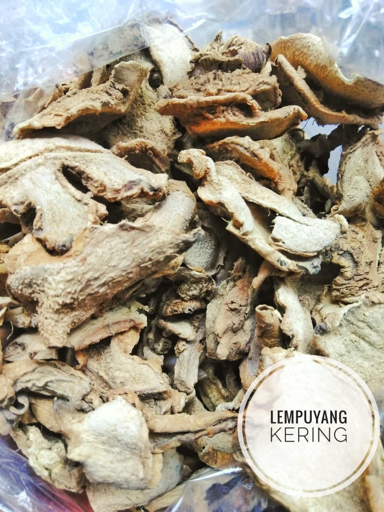 Lempuyang (Zingiber zerumbet) Dried and Powder