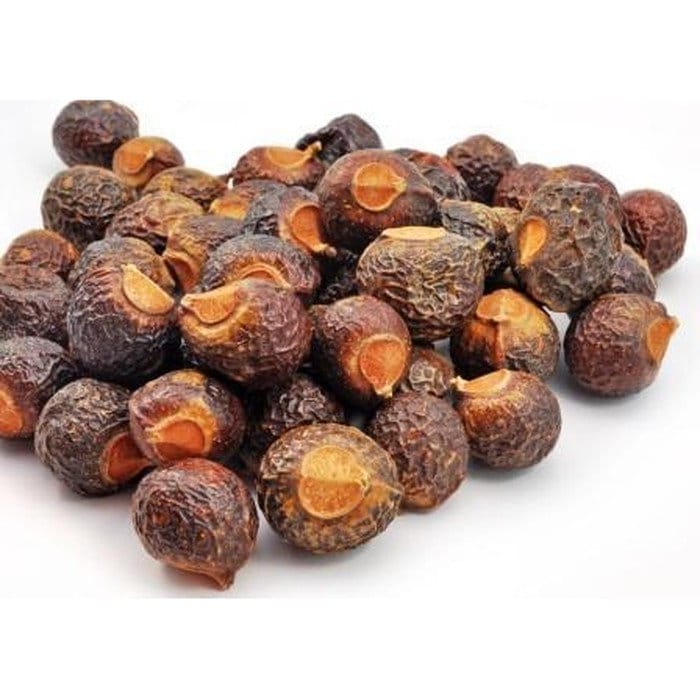 Lerak soapnut/soapberry/klerek (Sapindus rarak)