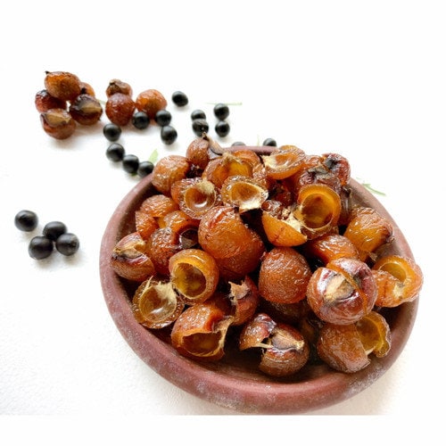 Lerak soapnut/soapberry/klerek (Sapindus rarak)