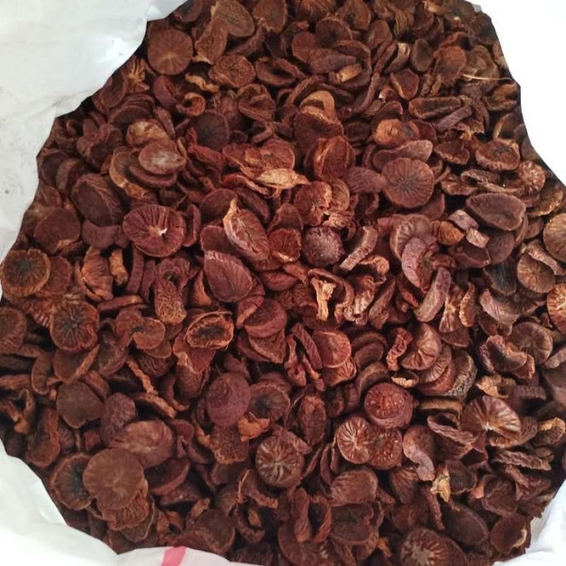 Buah Pinang  -  Betel Areca Nut Areca catechu  (Dried and Powder)