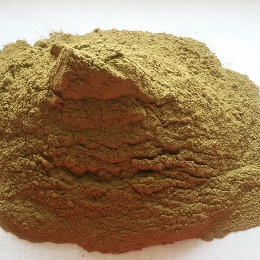 Daun Benalu - Loranthus Leaves  (Dried and Powder)